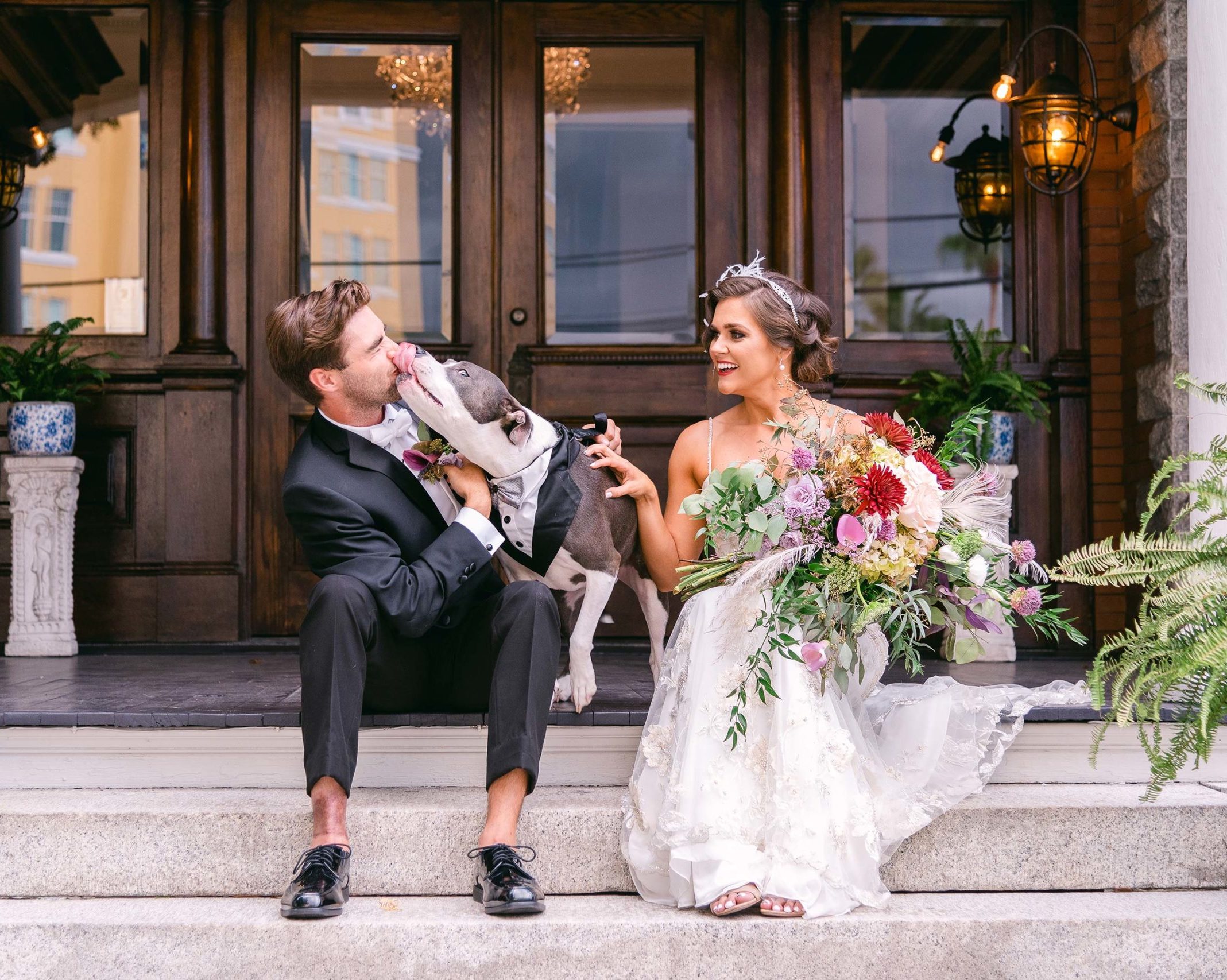 wedding couple sitting on stairs with their dog